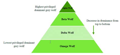 wolf pack hierarchy chart - Keski