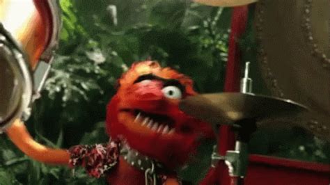 Animal Muppets GIFs | Tenor