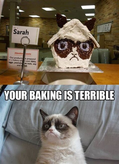 MEME – Grumpy Gingerbread House | Funlexia - Funny Pictures