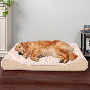 Wayfair | Medium Dog Beds You'll Love in 2022