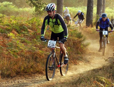 File:Mountain-bike-racing.jpg - Wikimedia Commons