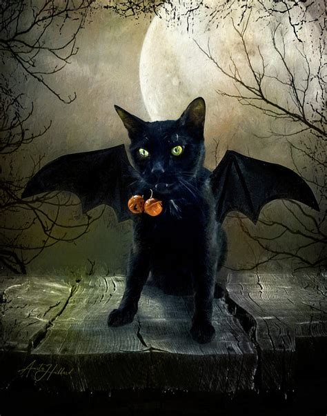 The Bat Cat Digital Art by Anita Hubbard - Fine Art America