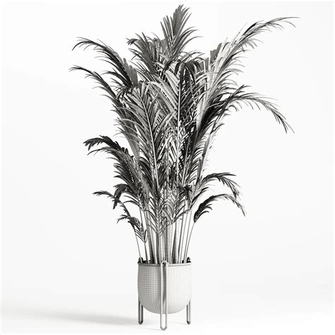 Areca Palm Indoor-Set002 - FlippedNormals