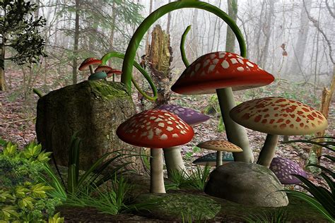 Get Mushroom Forest Wallpaper For Freee