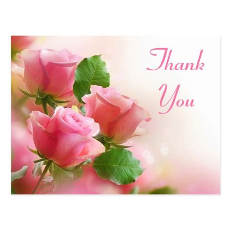 Thank You Pink Rose Flower Blank Floral Post Card | Zazzle