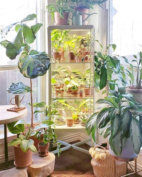 IKEA Greenhouse Cabinet (@ikeagreenhousecabinet) • Instagram photos and videos