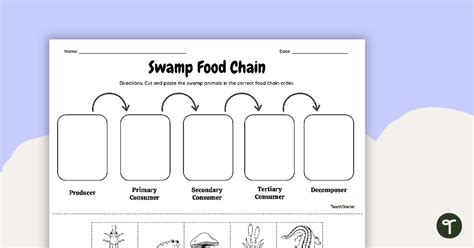 Swamp Food Chain - Cut and Paste Worksheet | Teach Starter