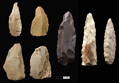 New research suggests projectile weapons were used regularly during the Middle Stone Age | ASU News