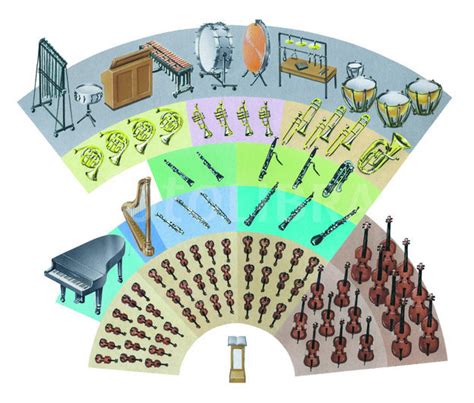 Orchestra Layout Diagram | Quizlet