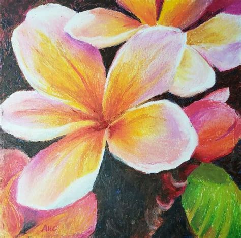 Soft Pastel Oil Pastel Drawings Of Easy Flowers - Krysfill Myyearin