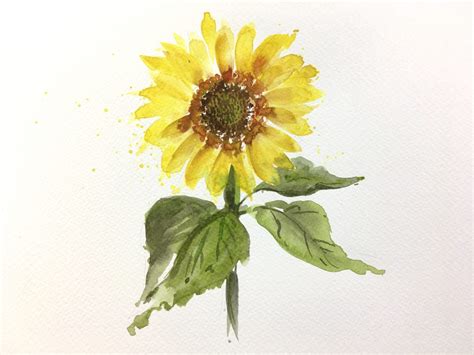 10 steps to painting a loose sunflower in watercolour - iampoppy Designs