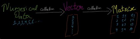 Linear Algebra: Vectors