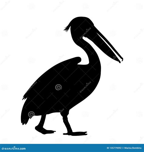 Pelican Silhouette Vector | CartoonDealer.com #9042408