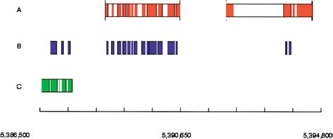 Assessing the Drosophila melanogaster and Anopheles gambiae Genome Annotations Using Genome-Wide ...