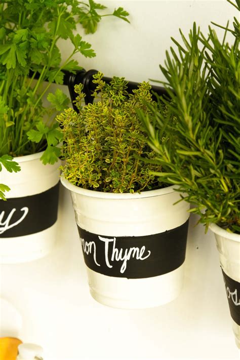 DIY Chalkboard Label Kitchen Herb Garden – Makeful