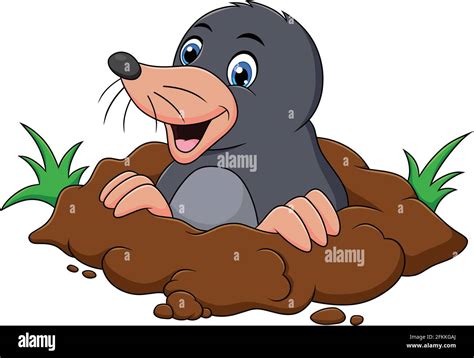 Mole Animal Cartoon