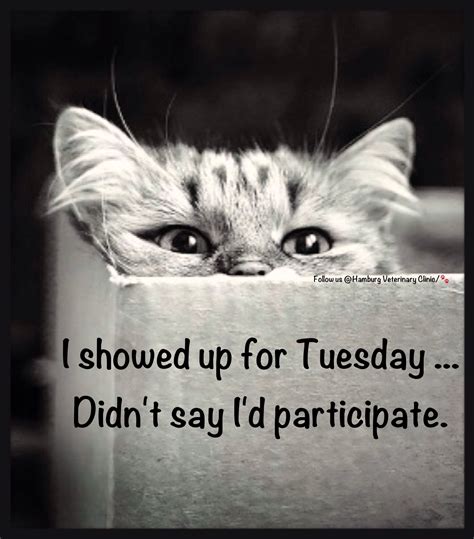 tuesday morning funny Meme – The Random Vibez