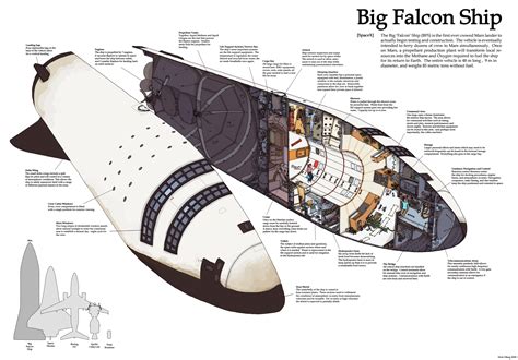 Cutaway diagram of SpaceX Big Falcon Ship | human Mars