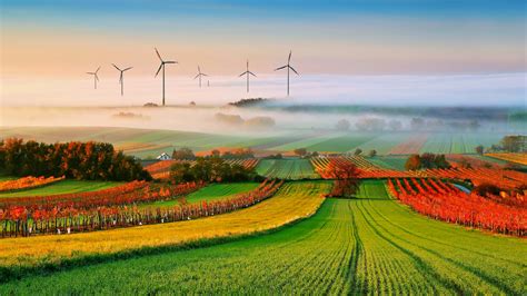 fog, Landscapes, Nature, Fields, Trees, Countryside, Fans, Electric ...