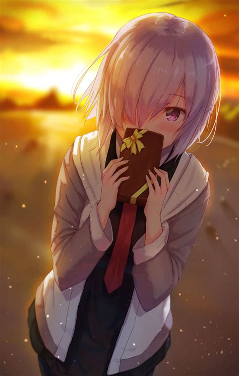 Mashu Fategrand Order Wallpaper - Anime Keren