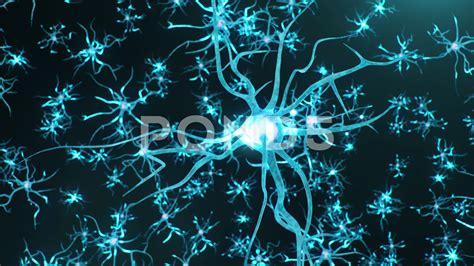 Neuron Synapse Animation