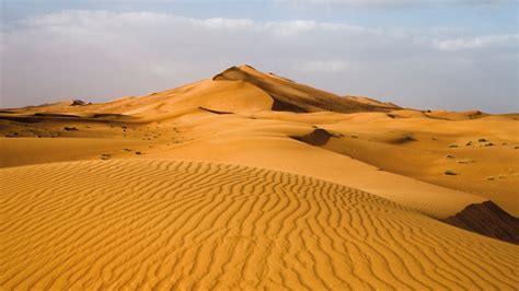 Biology of UAE deserts an untapped fountain - Khalifa University