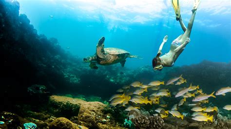 Deluxe NaPali Coast Snorkel - Blue Dolphin Charters