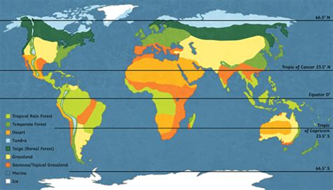 What is a Biome? - Twinkl