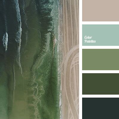 emerald green | Color Palette Ideas