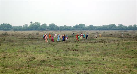 Keoladeo National Park | Sahapedia