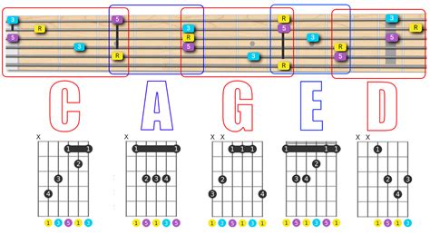 Guitar Caged System | Interactive Tutorial