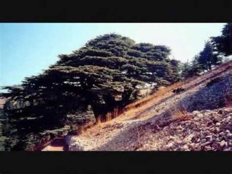 Jnoub lubnan South Lebanon Song جنوب لبنان - YouTube