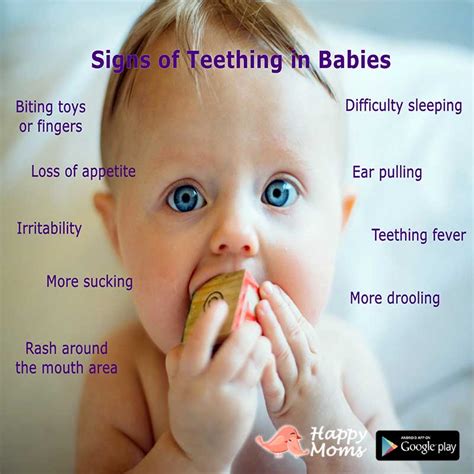 Teething in Babies: Symptoms, Remedies & Timeline – Happy Moms