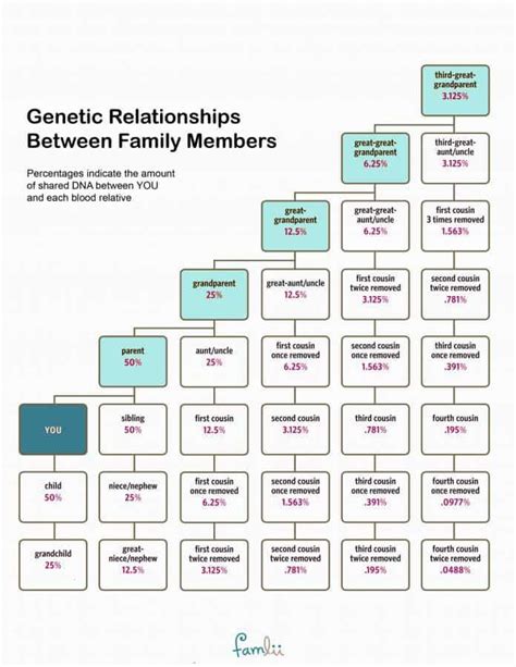 How Much DNA Do Family Members Share? (With Cousin Relationship Chart) - Famlii | Family tree ...