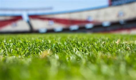 How Much Does a Turf Field Cost for Sports Facilities? - Sports Venue Calculator