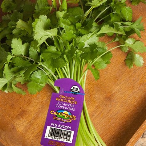 Cilantro | Cal-Organic Farms