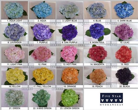 Hydrangea Color Chart | Hydrangea colors, Hydrangea flower, Hydrangea