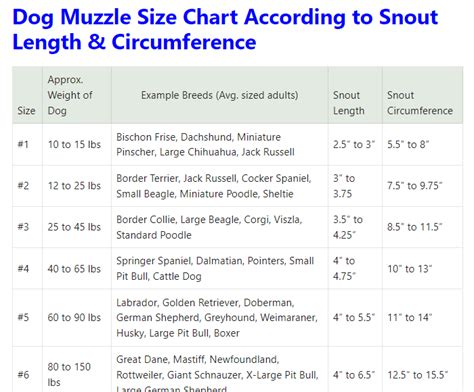 Dog Muzzle Size Chart: Recommend Sizing Guide By Breed & Weigh