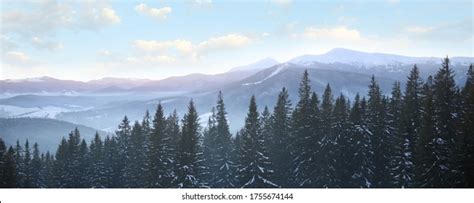 417,432 Forest Banner Images, Stock Photos & Vectors | Shutterstock