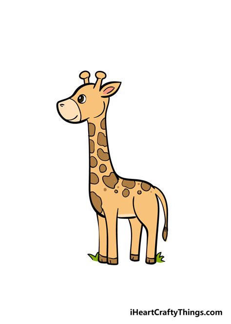 How To Draw A Giraffe Step By Step For Kids