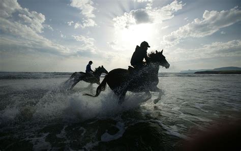 Horse Riding Wallpapers - Top Free Horse Riding Backgrounds ...