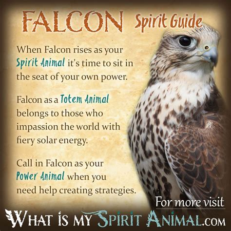 Falcon Symbolism: Spiritual Meanings Of Falcon, 41% OFF