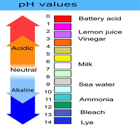 What is lemon pH level? - Ask the nutritionist