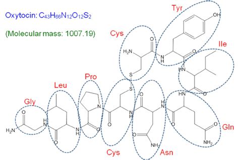 Structure of oxytocin. | Download Scientific Diagram