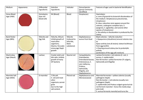 Microbiology Agar Chart