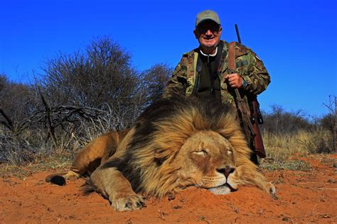 African lion hunting safari packages South Africa | Mkulu African Hunting Safaris