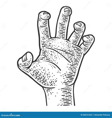 Grasping Hand Sketch Vector Illustration | CartoonDealer.com #200161663