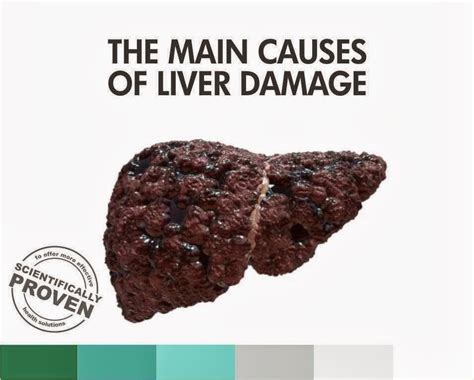 Abangkuraden's Blog: The main causes of liver damage are