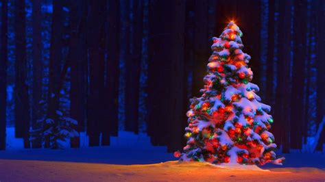 Christmas Tree 4k Wallpapers - Wallpaper Cave