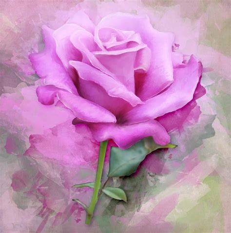 Watercolour Pastel Lilac Rose Painting by Shabby Chic and Vintage Art - Fine Art America